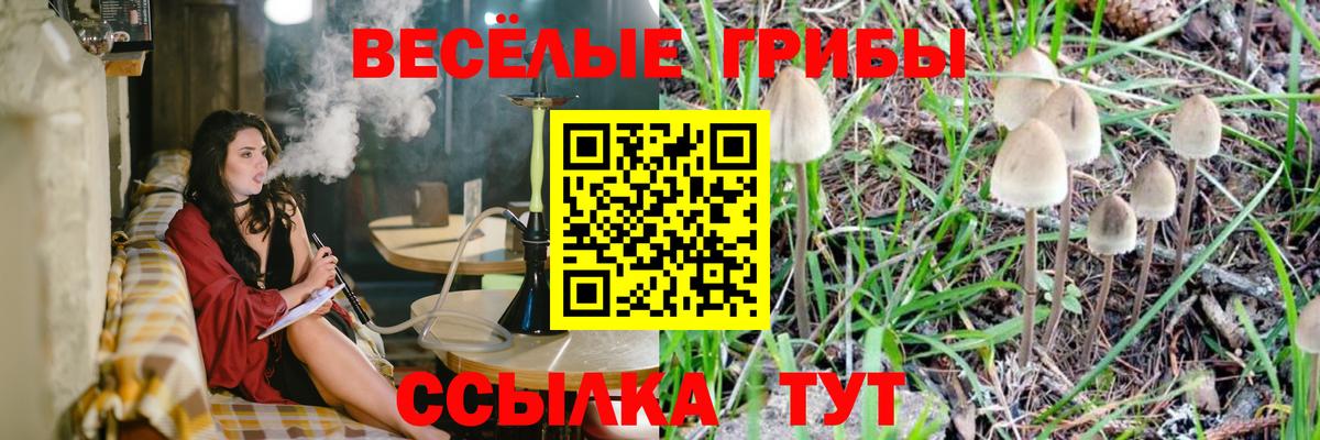 Ачинск  Галлюциногенные грибы мицелий  Вход с VPN 